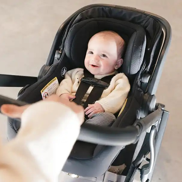 UPPAbaby Vista V3 + Mesa V3 Travel System