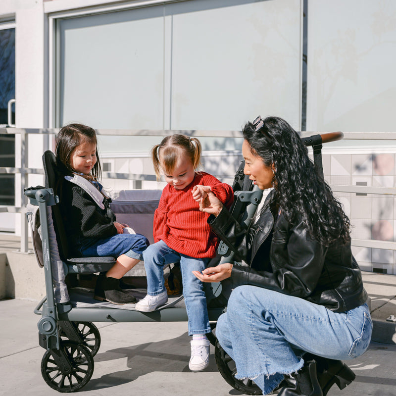 WonderFold L2 Double Stroller Wagon