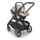 UPPAbaby Cruz® V3 + Mesa® V3 Travel System
