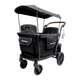 WonderFold L2 Double Stroller Wagon