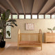 Babyletto Bondi Cane 3-in-1 Convertible Crib + 6-Drawer Dresser